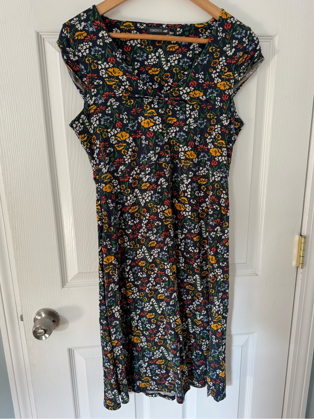 Toad & Co Rosemarie cap sleeve dress